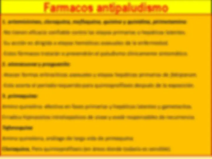 pf28