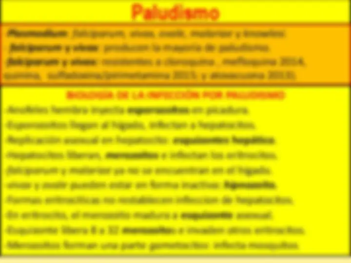 pf27