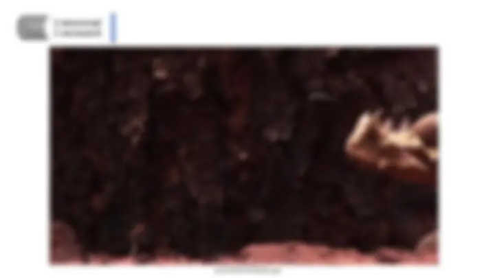 pf34