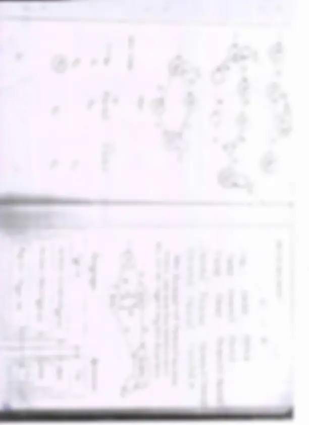 pf55