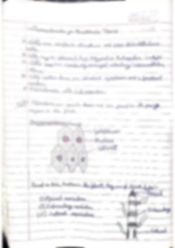 pf3