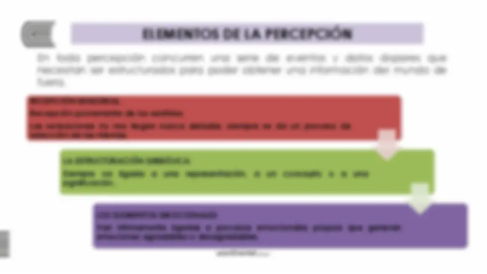 pf13