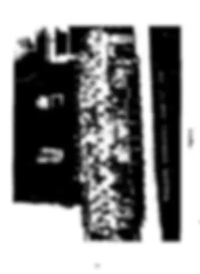 pf1b