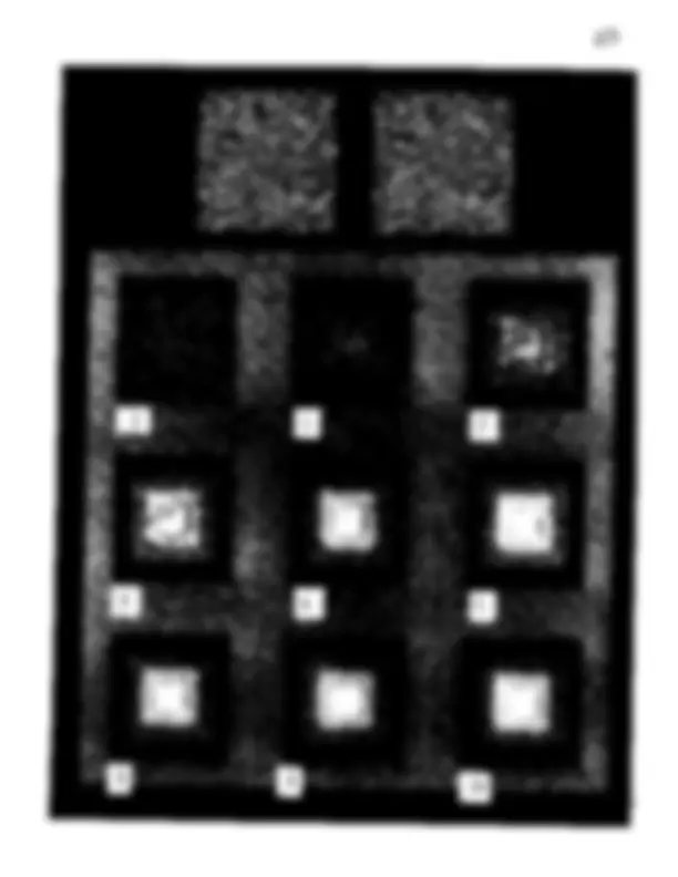 pf17