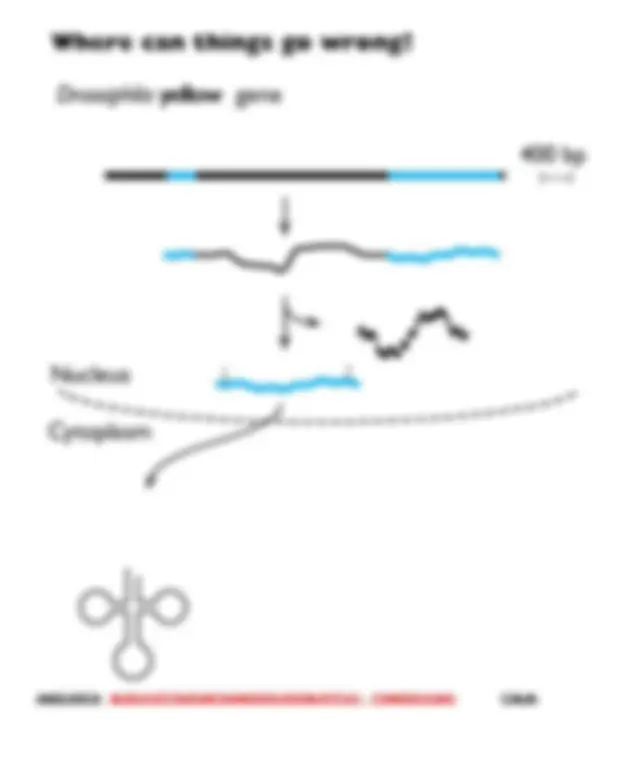 pf5c