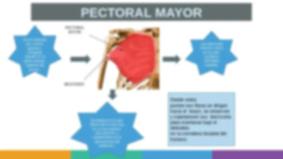 pf5