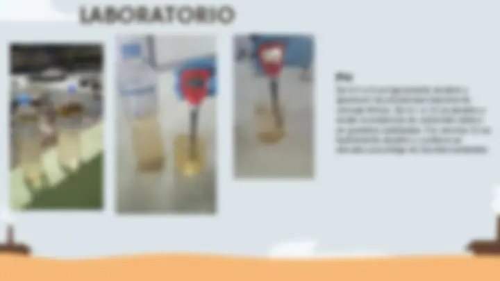 pf13