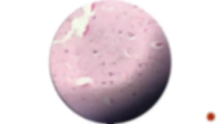 pf2e