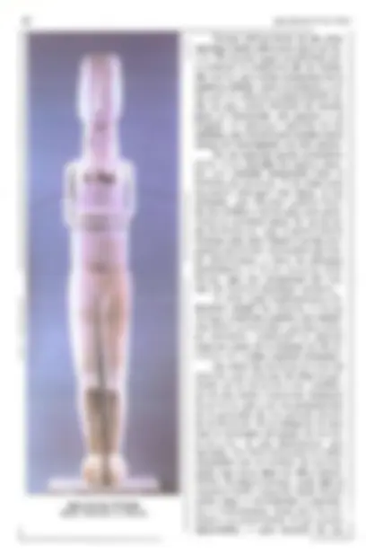 pf29