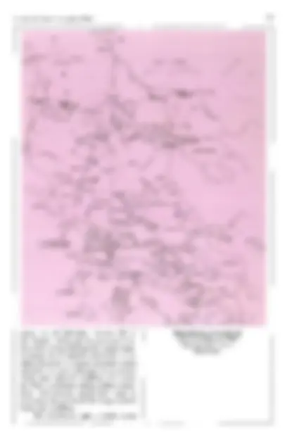 pf24