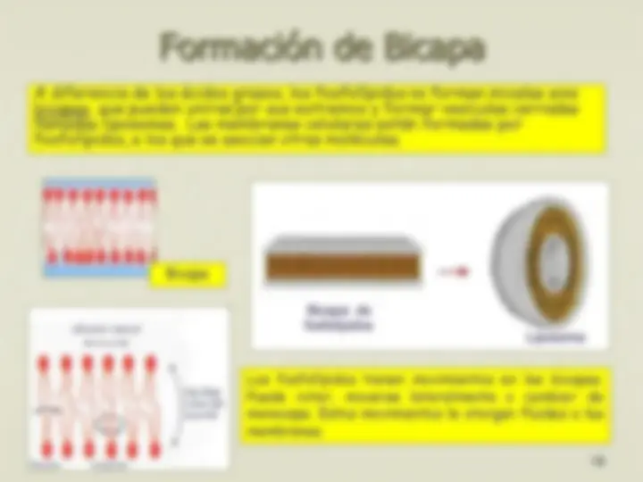 pf15