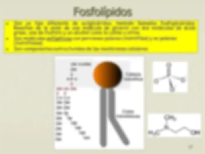 pf13