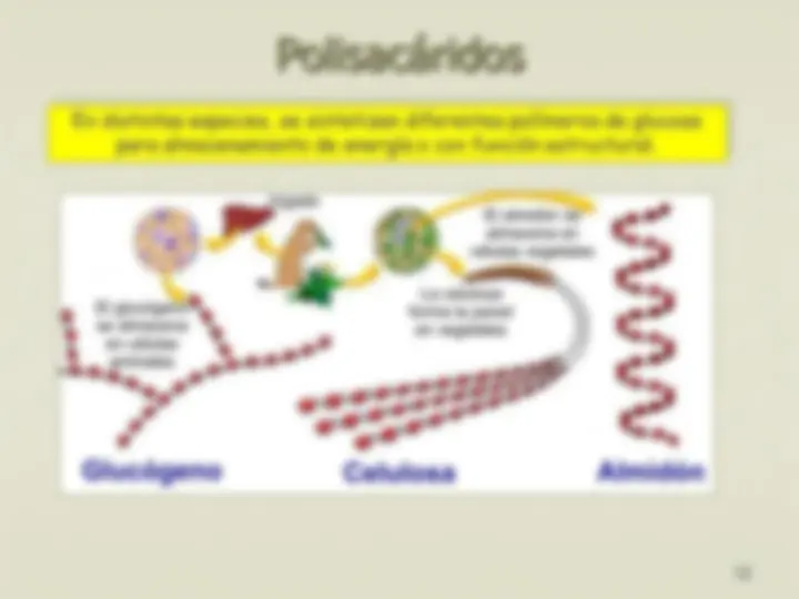 pfe