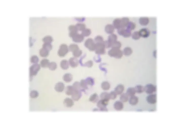 pf1a