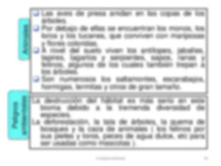 pf2e