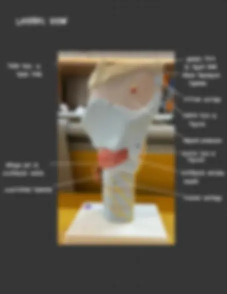 pf4