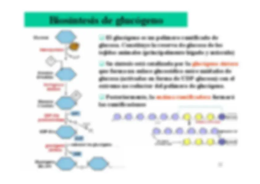pf16