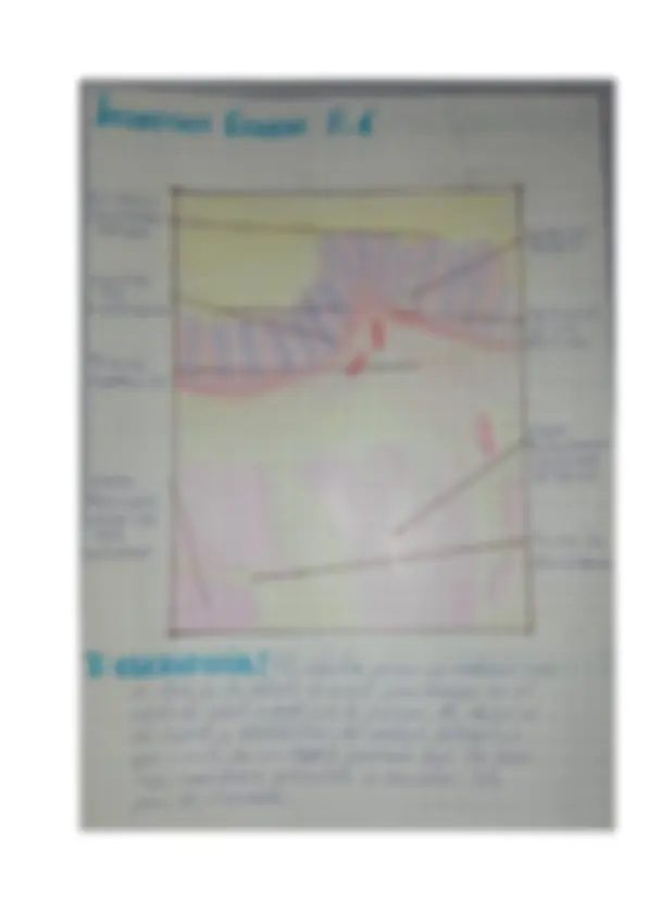pf5