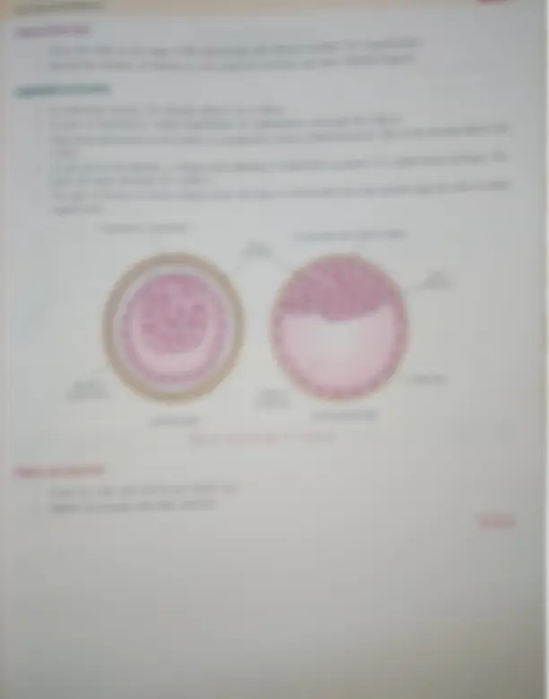 pf2