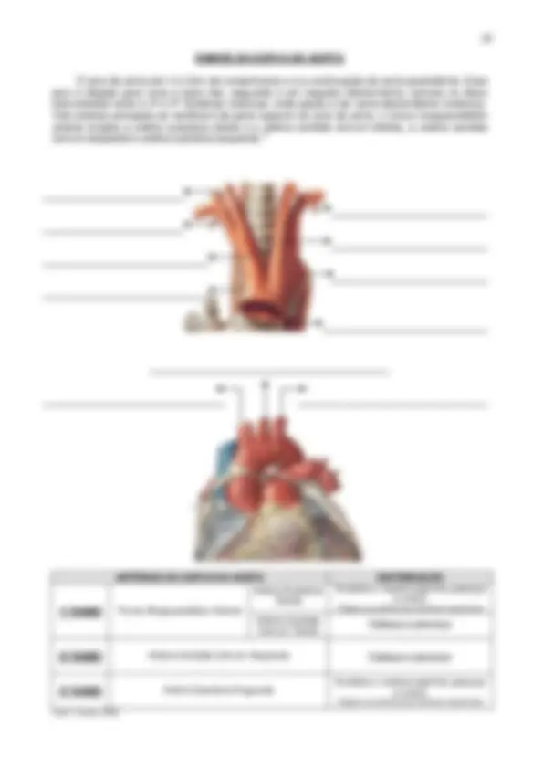 pf14
