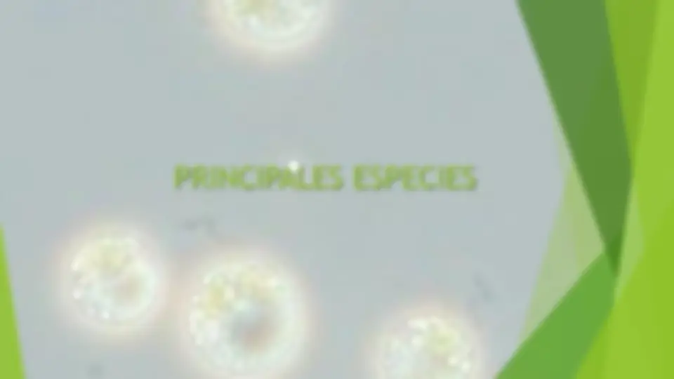 pfa