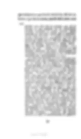 pf55