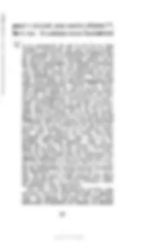 pf54