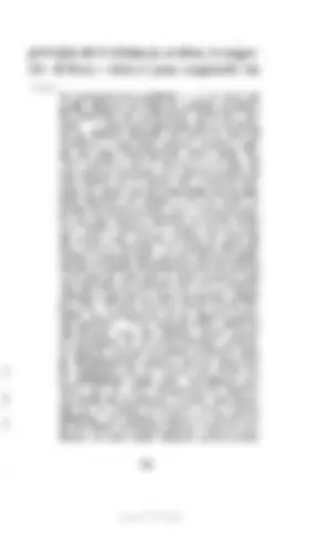 pf56