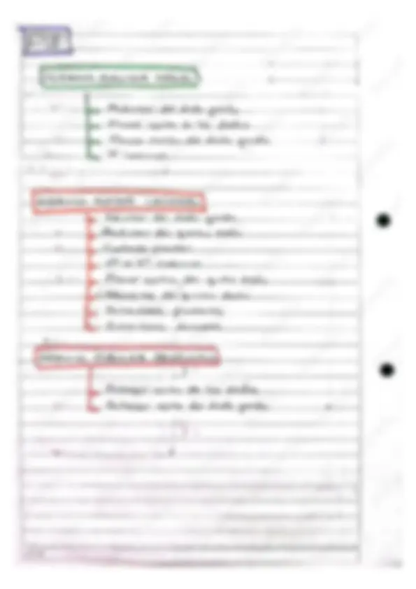 pf5