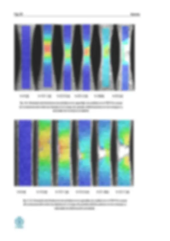 pf63