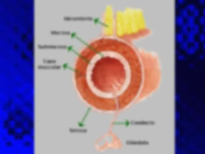 pf5