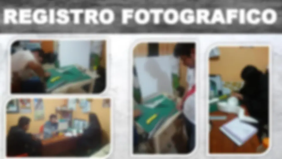 pf19