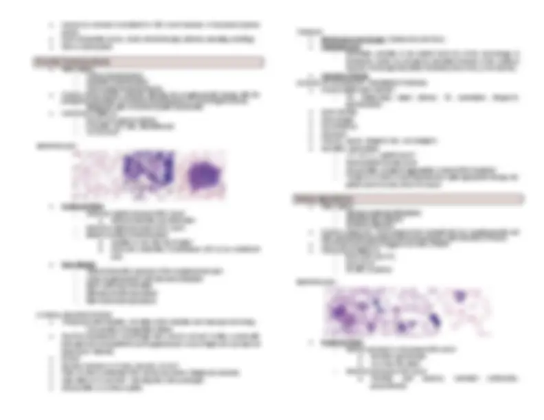 White Blood Cell Anomalies and Disorders | Study notes Hematology | Docsity