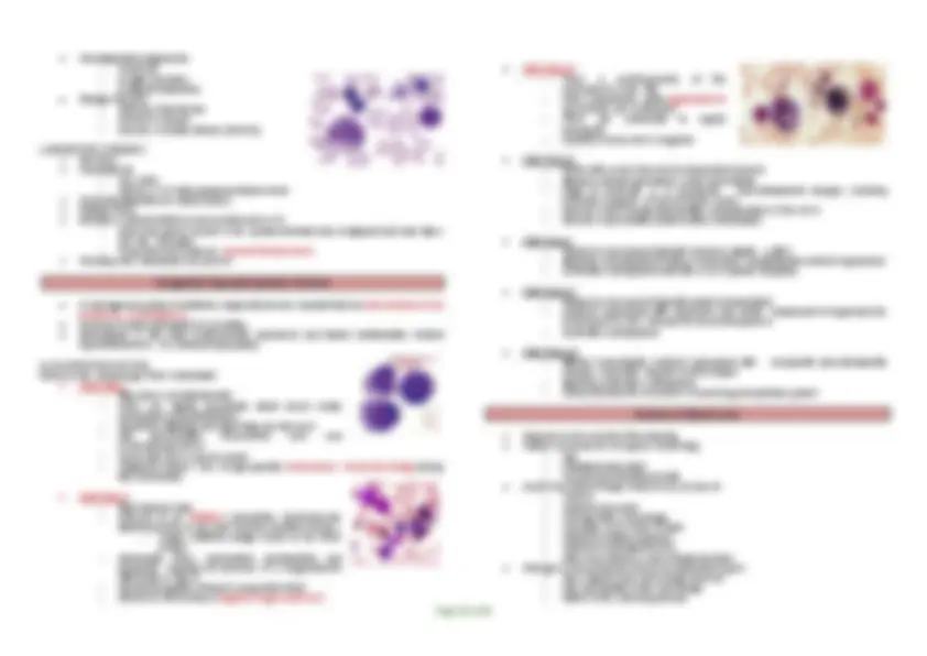 Anemia: Red Blood Cell Disorders | Study notes Hematology | Docsity
