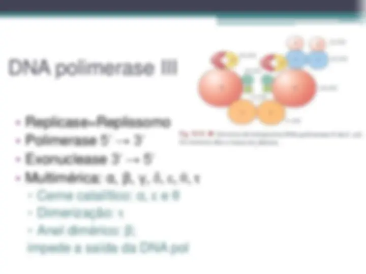 pf12
