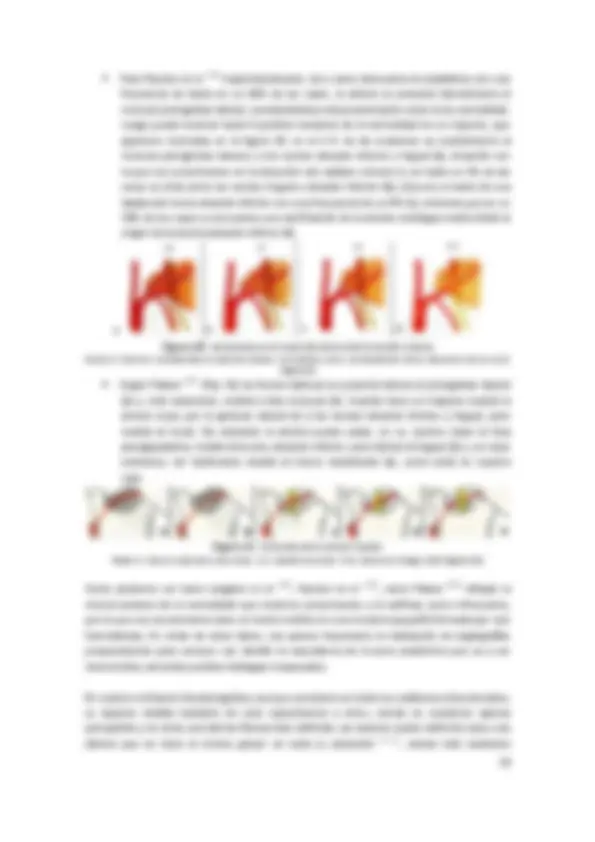 fosa infratemporal, anatomia humana | Resúmenes de Anatomía | Docsity