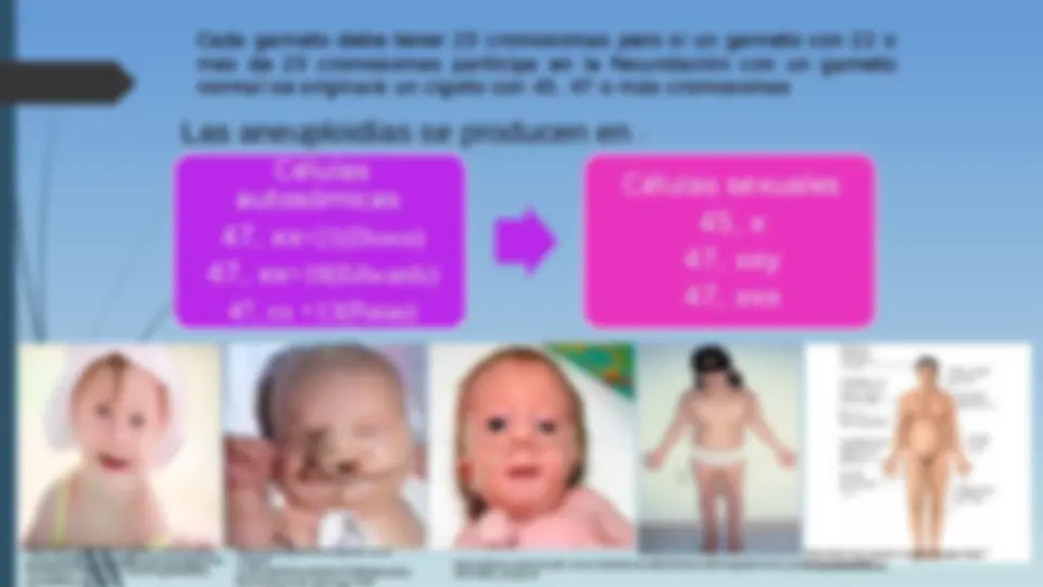 pf13