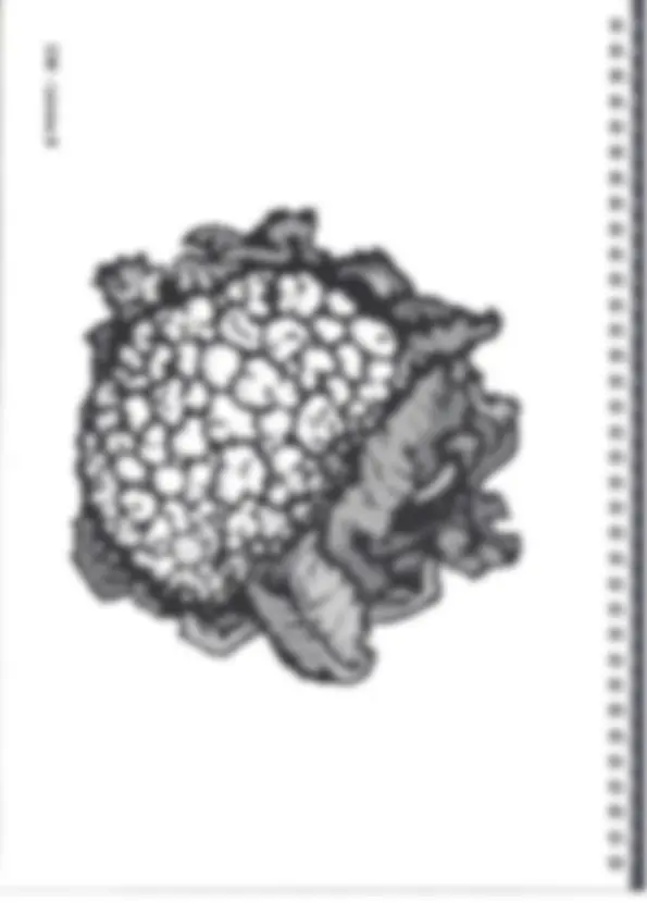 pfa