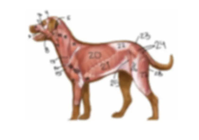 pf3