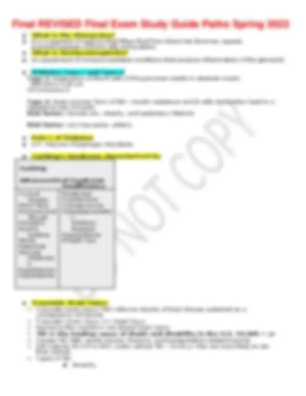 Final REVISED Final Exam Study Guide Patho Spring 2023 | Study Guides ...