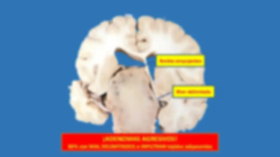 pf5