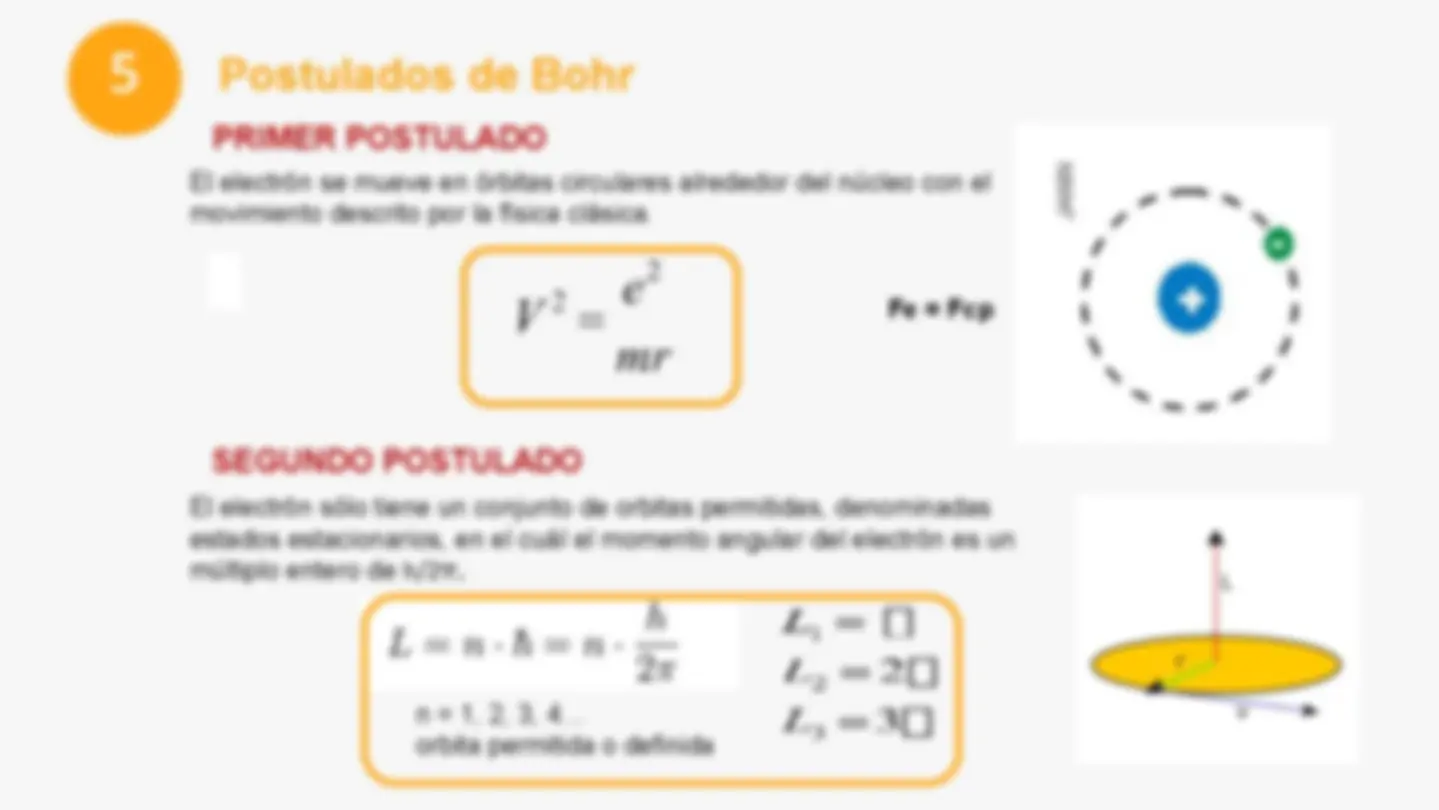 pf19