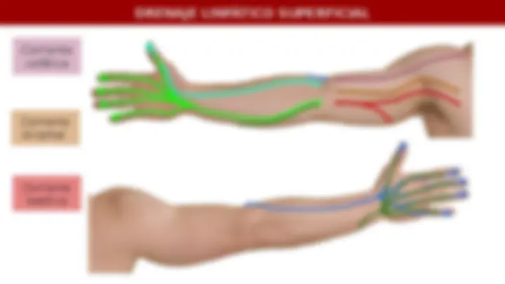 pf5