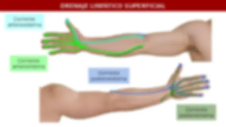 pf4
