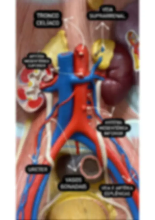 pf5