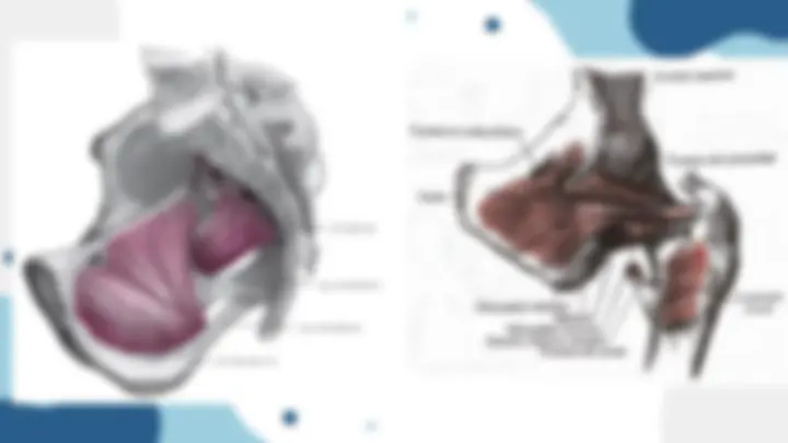 pfa