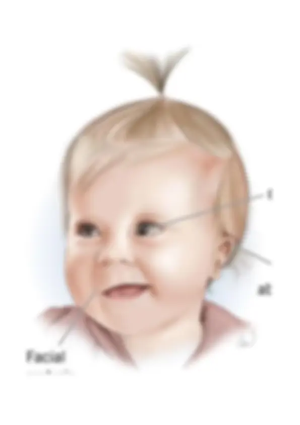 pf13