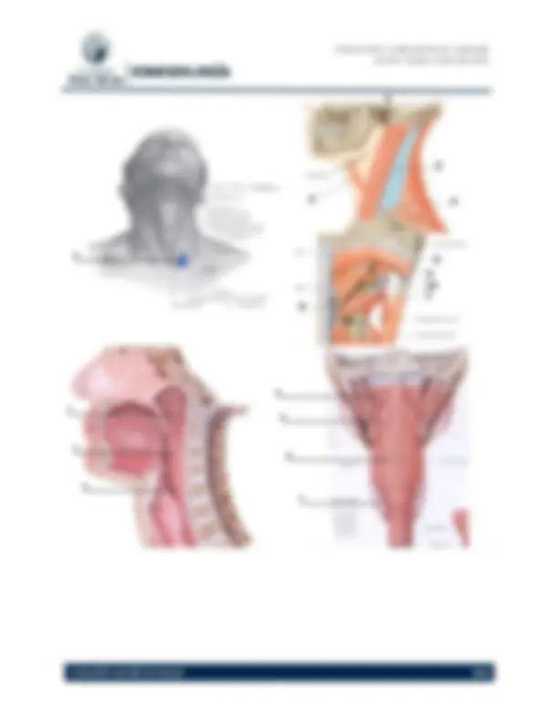 pf5