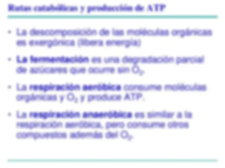 pf13
