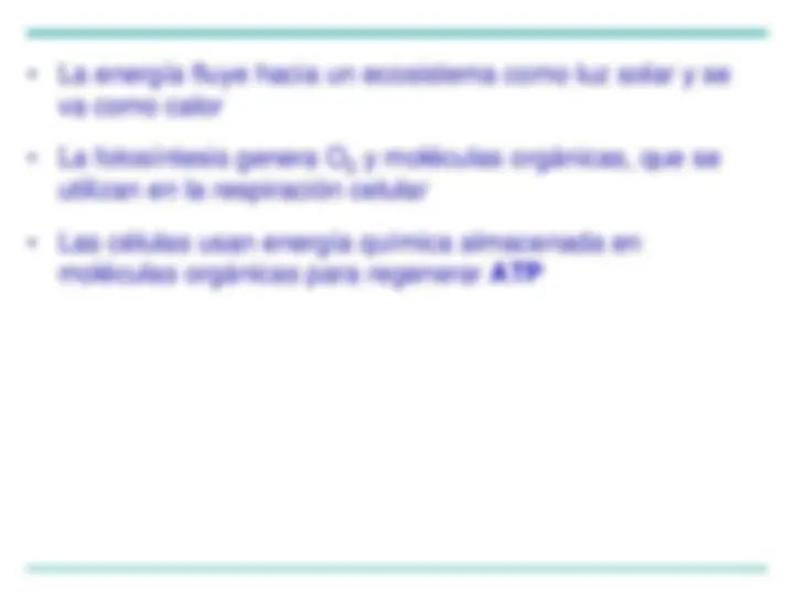 pf4